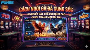 cach-nuoi-ga-da-sung-suc