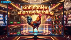 kinh-nghiem-chon-ga-da-thang